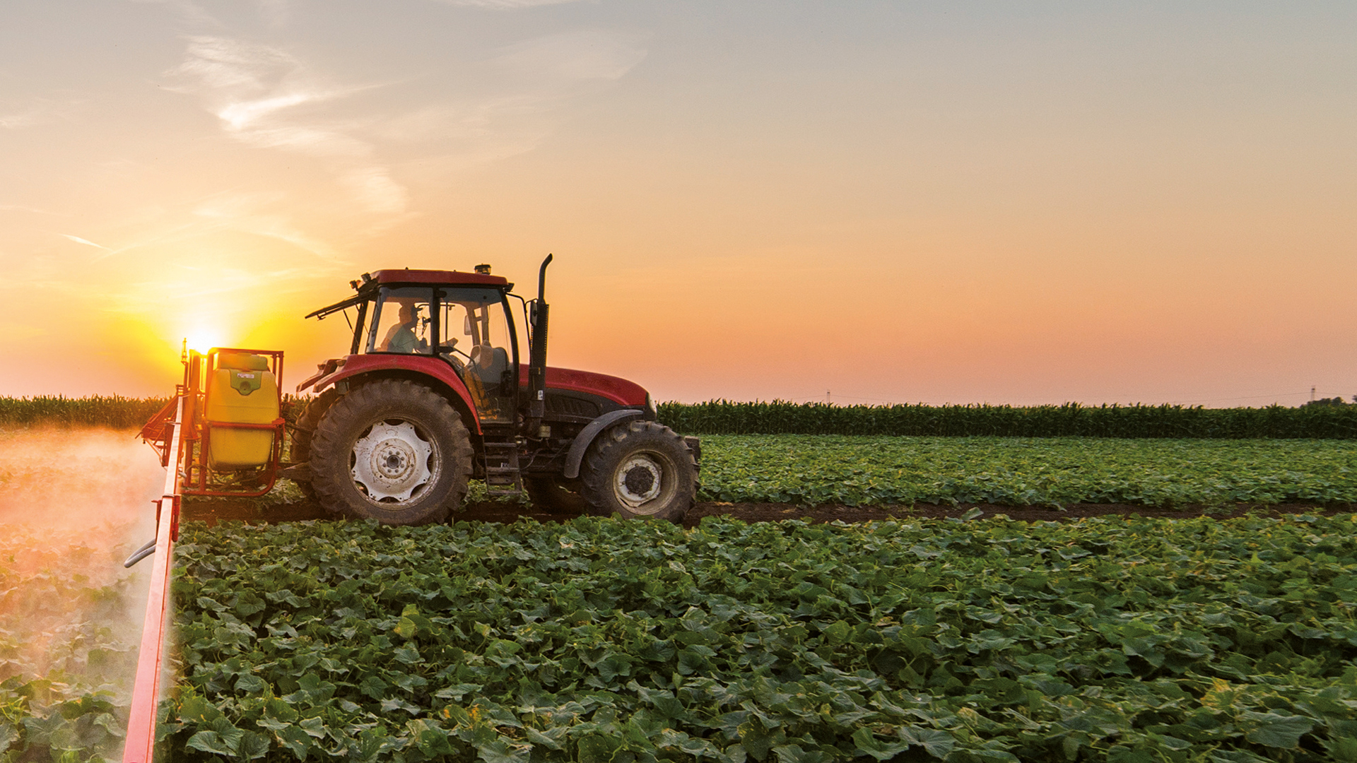 tractor fertiliza